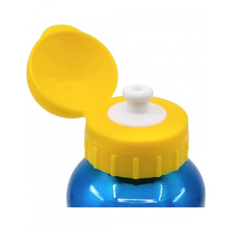 BOTELLA ALUMINIO 530ML PAW PATROL PUP