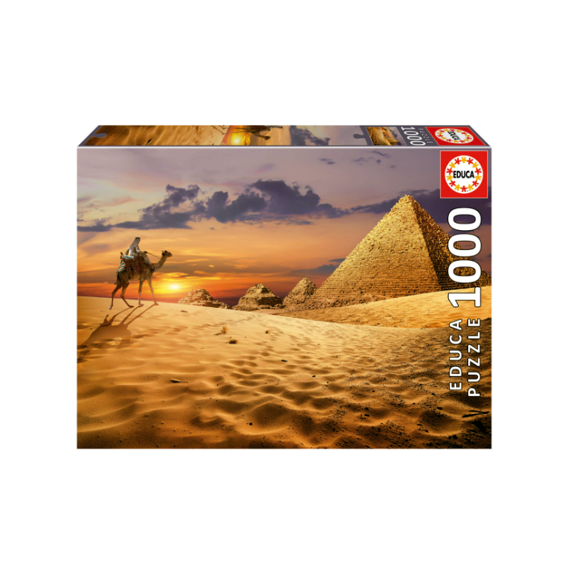 1000 CAMELLO EN EL DESIERTO