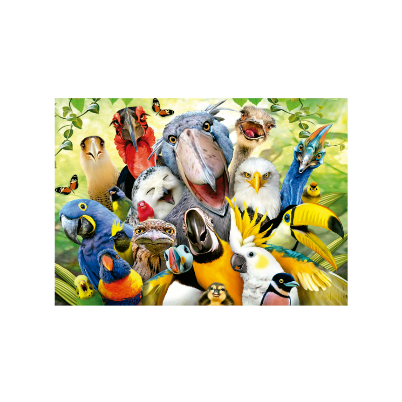 500 MIRA AL PAJARITO