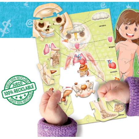 PUZZLE EL CUERPO HUMANO
