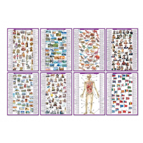 CONECTOR ENCICLOPEDIA 2