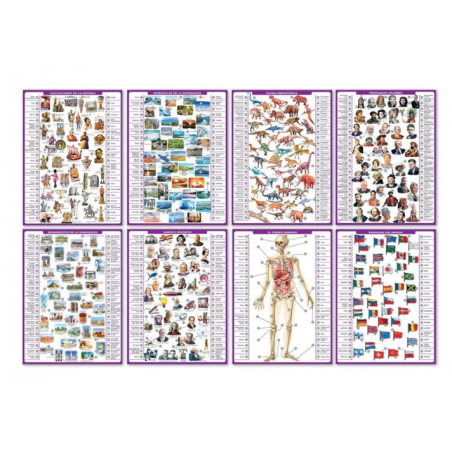 CONECTOR ENCICLOPEDIA