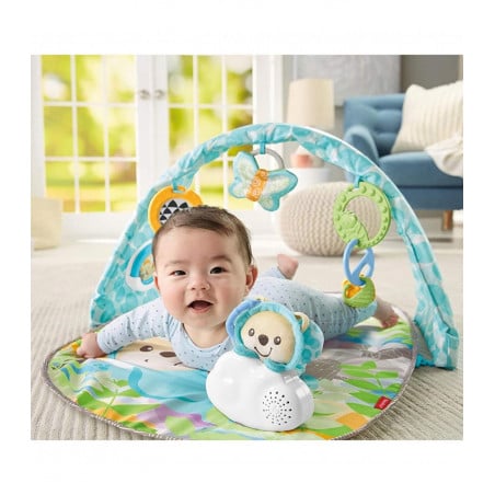 Gimnasio Musical Osito Luces y Sonidos