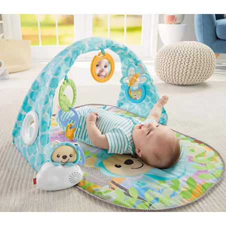 Gimnasio Musical Osito Luces y Sonidos