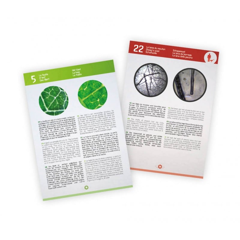 MICROSCOPIO VIDEO 3 EN 1