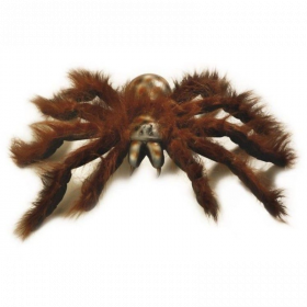 TARANTULA PELUDA GIGANTE CON PATAS MOLDEABLES