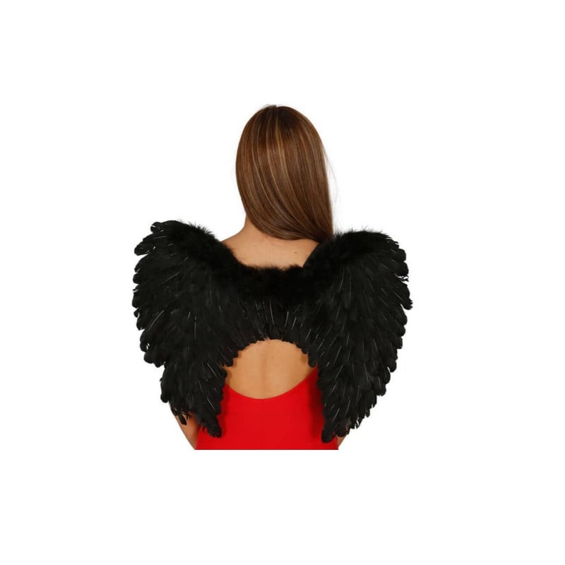 ALAS PLUMAS NEGRAS 60X45 CMS