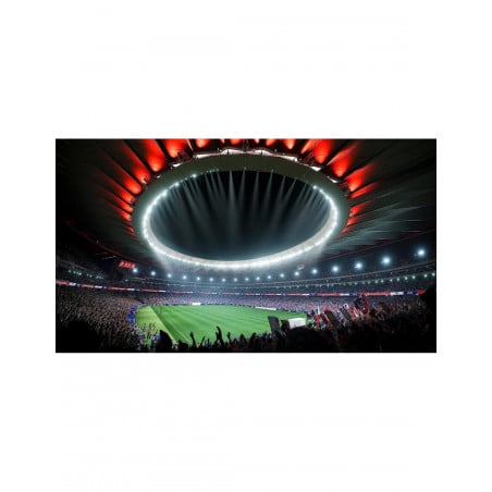 SWITCH EA SPORTS FC24