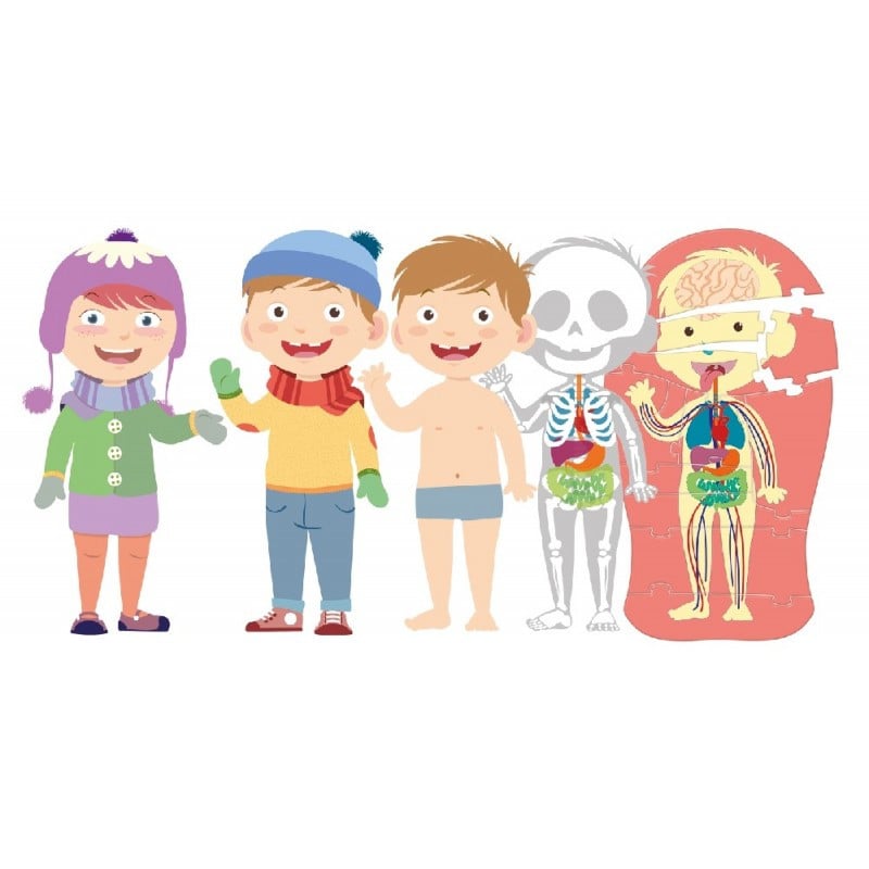 APRENDE EL CUERPO HUMANO