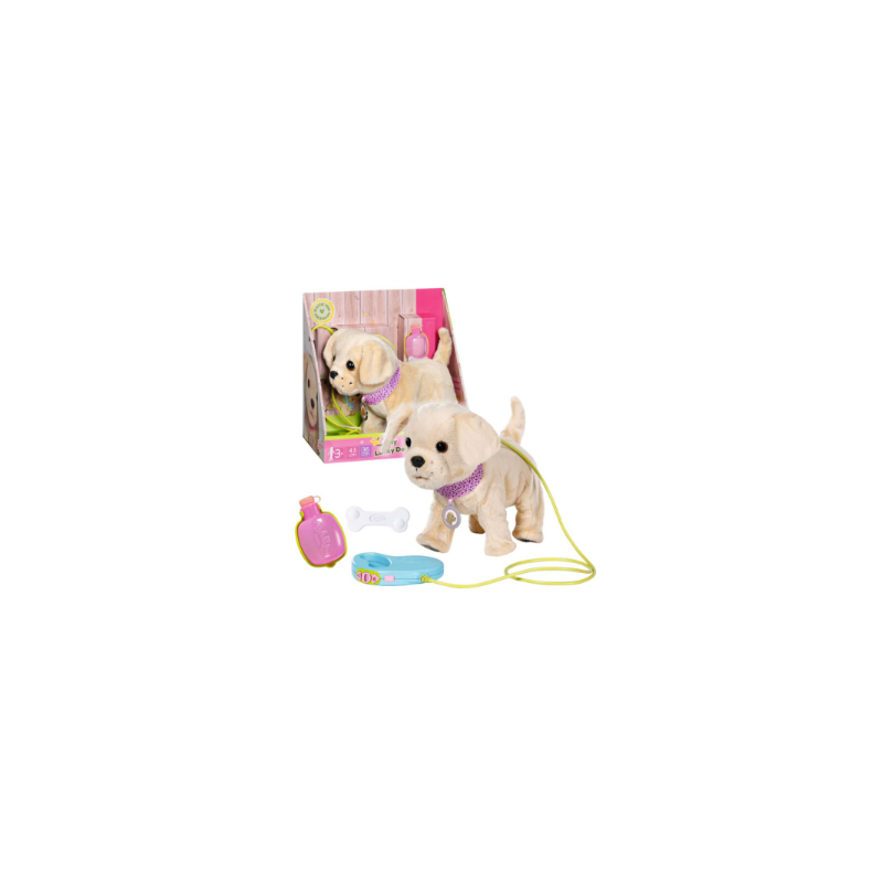 baby born perrito paseo