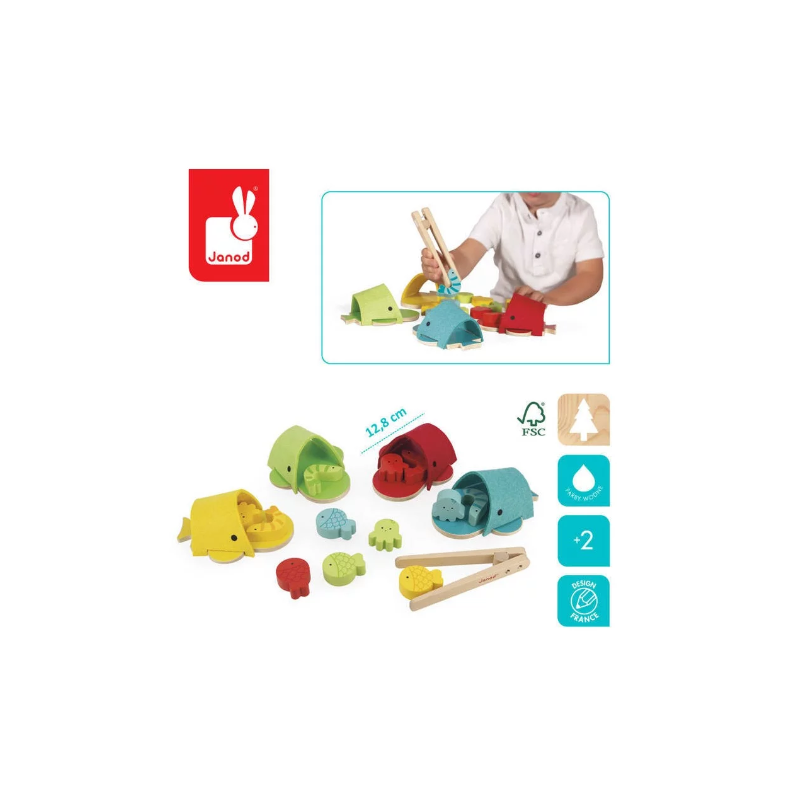 Clasificación de Colores Ballenas