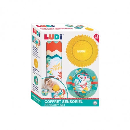 Ludi roller y pelotas