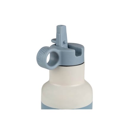 CITRON BOTELLA TERMICA 350ML AERONAVE