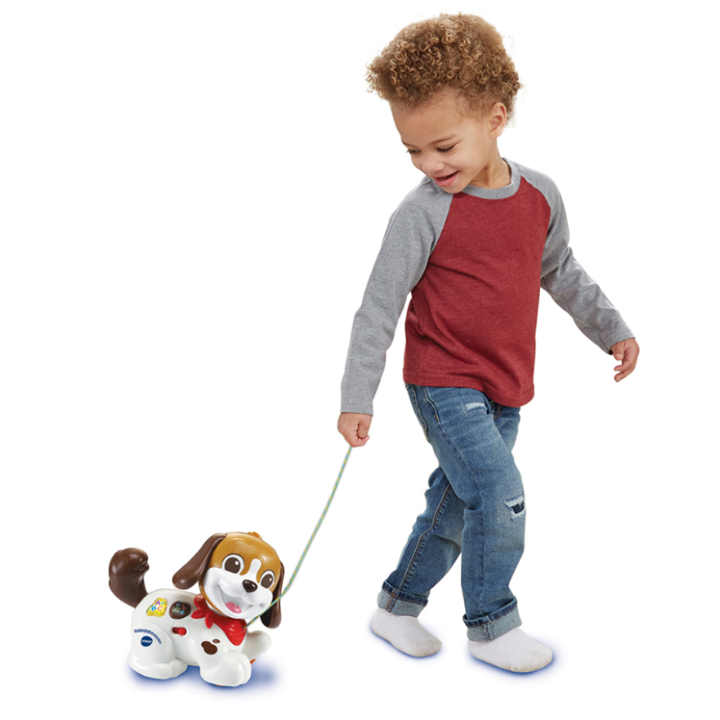 Perrito Infantil Paseos Y Aventuras