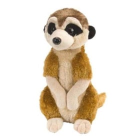 Peluche Suricata