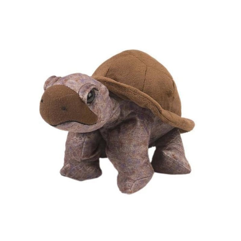 Peluche Tortuga