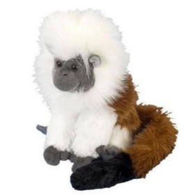 Peluche Mono Tamarino de Algodón