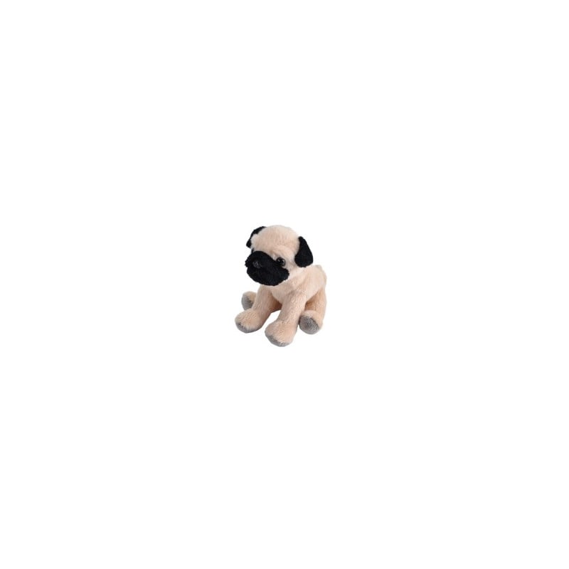 Peluche Pocketkins Carlino