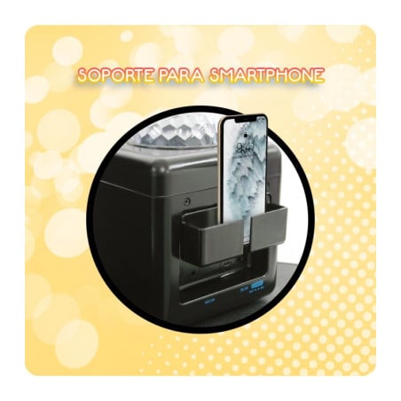 Sistema Inalambrico De Karaoke Disco