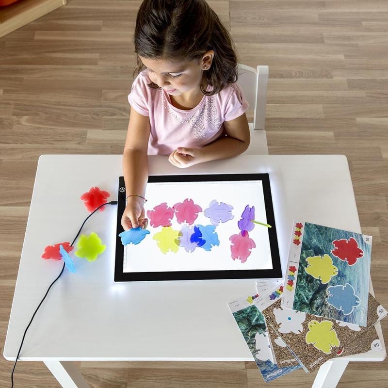 Set 20 Tortugas Translúcidas Miniland