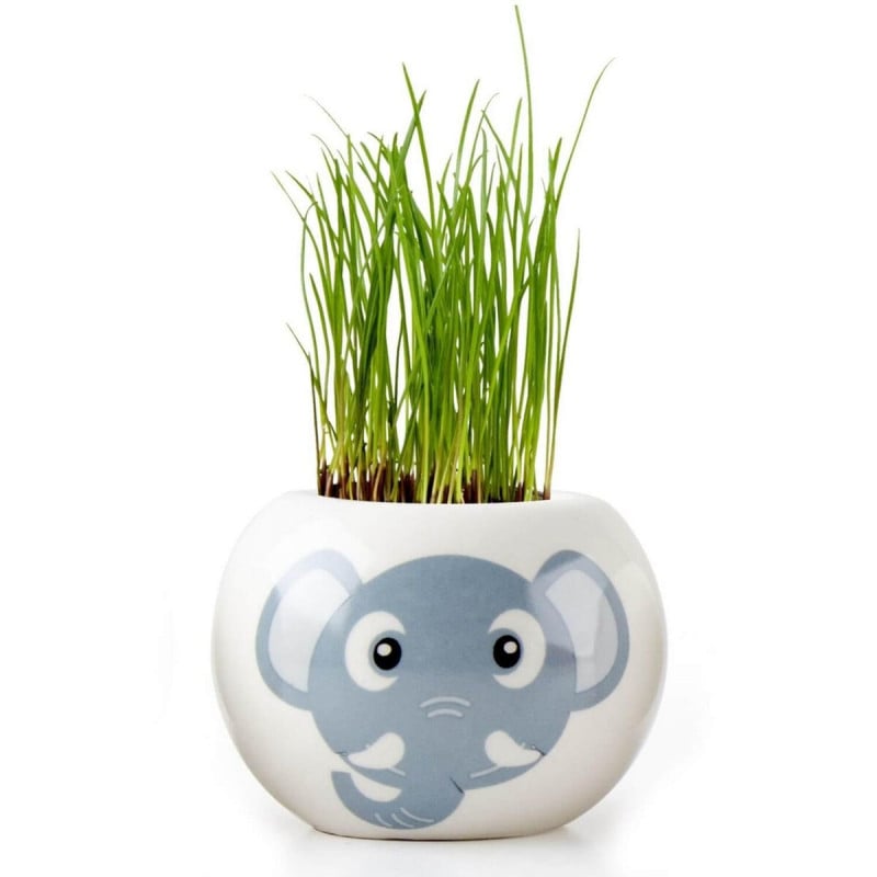 Kit Jardinería Cerámica León/Elefante