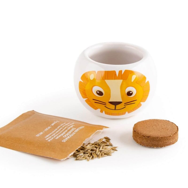 Kit Jardinería Cerámica León/Elefante