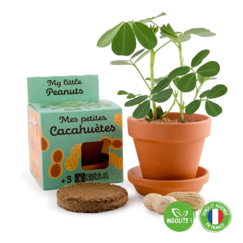 Juego de Sembrar Cacahuetes