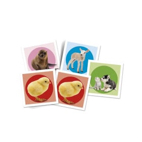 Memo Baby Animales 2