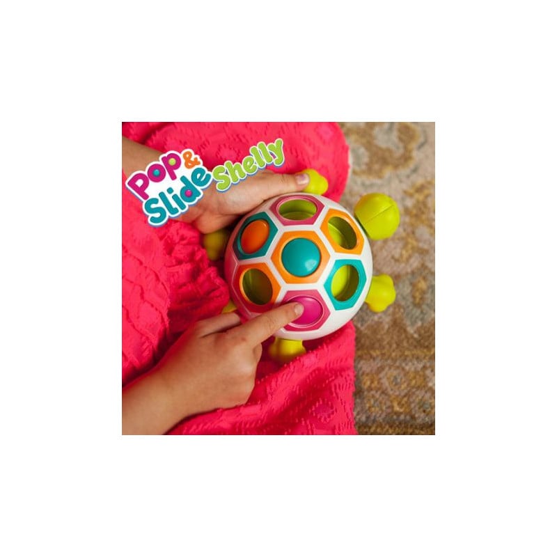 Tortuga Descubre Formas