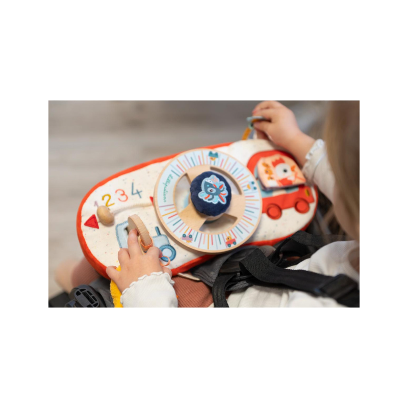 Panel De Actividades Del Coche