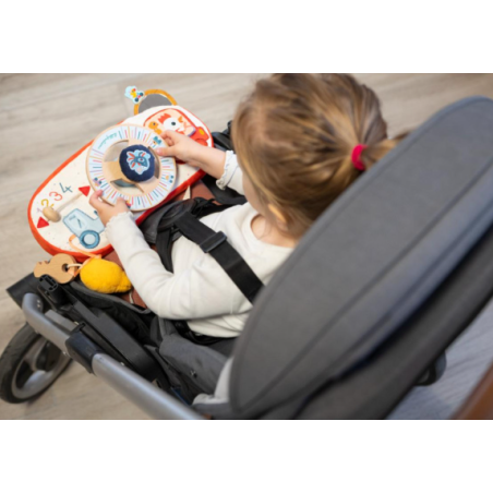 Panel De Actividades Del Coche