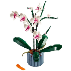Orquideas 2