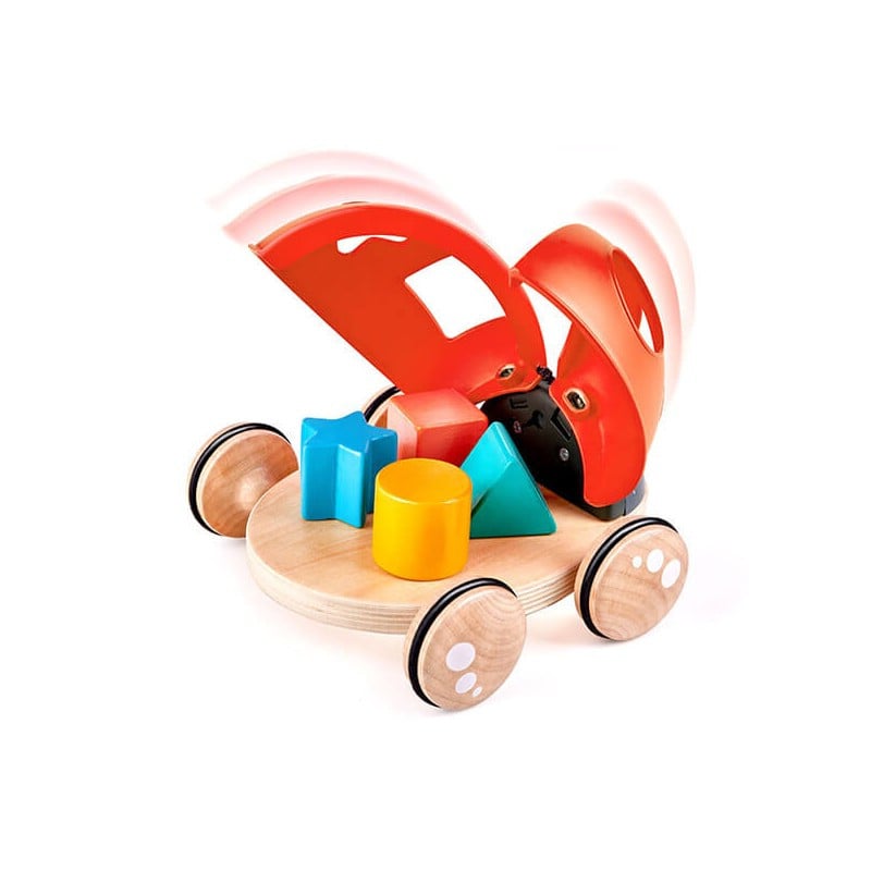 Mariquita Clasificadora De Formas