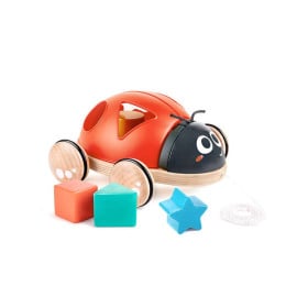 Mariquita Clasificadora De Formas