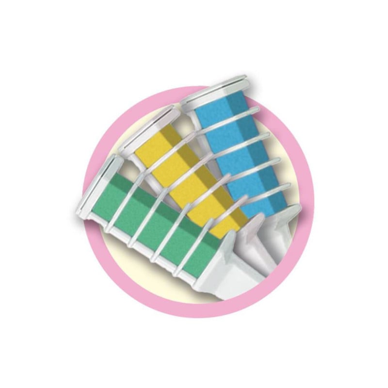 Shinetastic Tricolor & Go