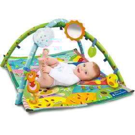 Mi Primer Gimnasio 2