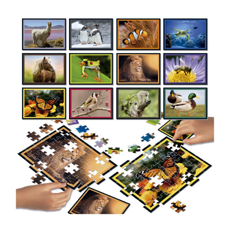 Puzzle Batalla Junior Naturaleza