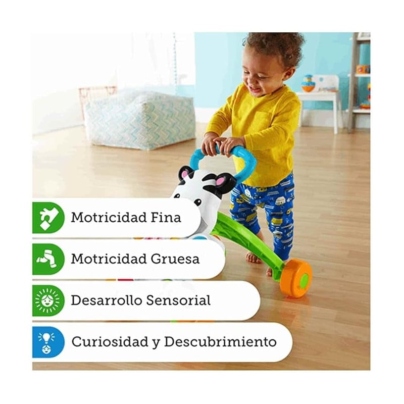 Cebra Parlanchina Primeros Pasos