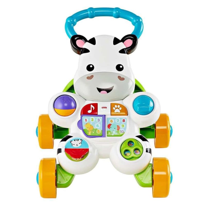 Cebra Parlanchina Primeros Pasos