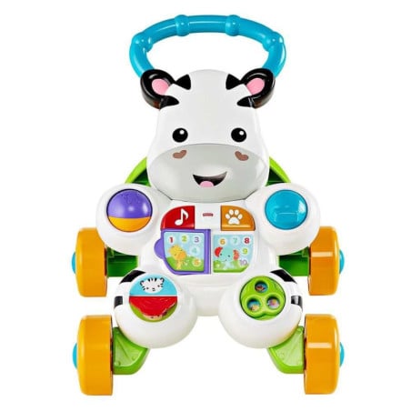 Cebra Parlanchina Primeros Pasos