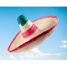 Sombreros para disfraces