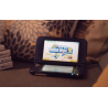 Nintendo DS